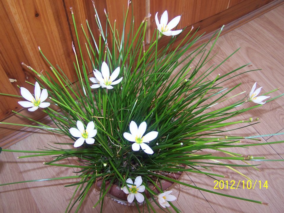 100_7624.jpg