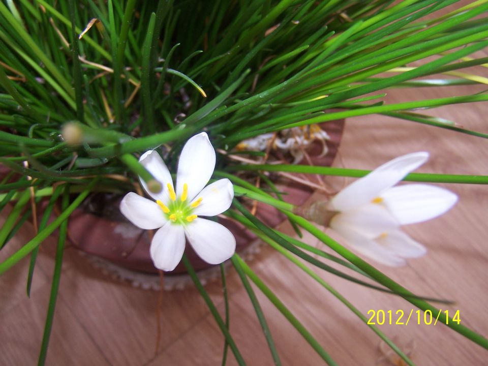 100_7625.jpg