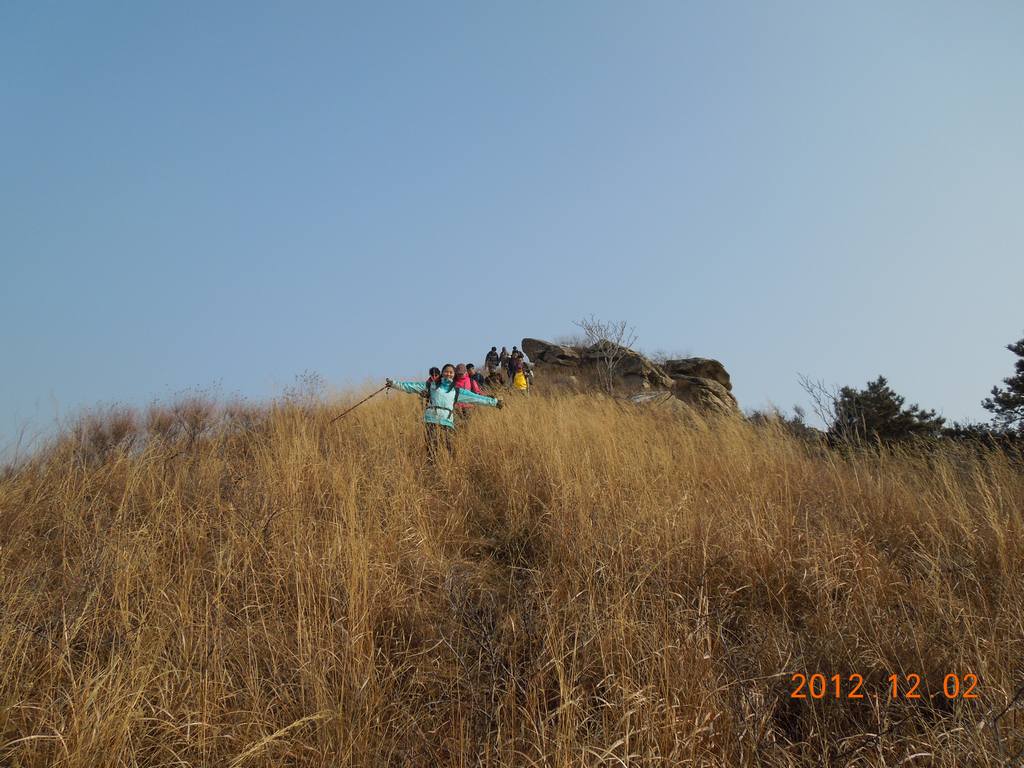 DSCN5008.jpg