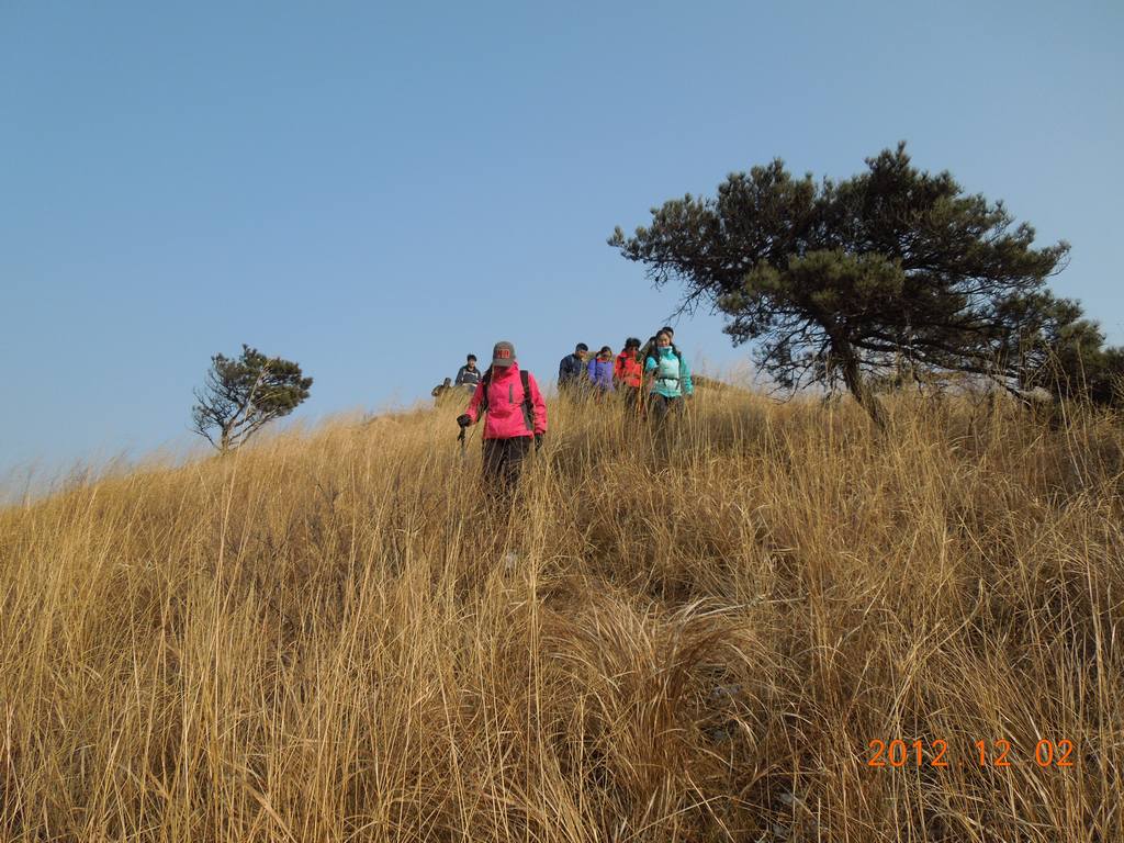 DSCN4995.jpg