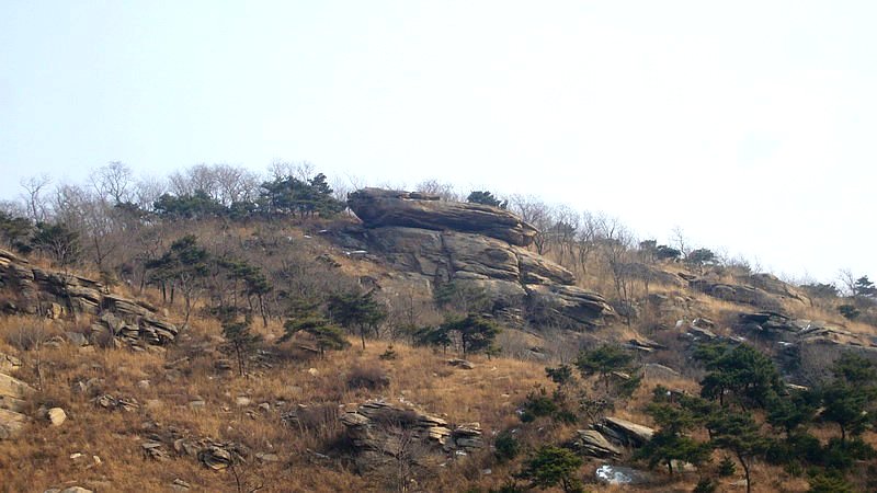 P1220045_缩小大小.JPG