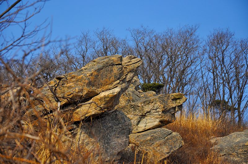 DSC_0423.JPG