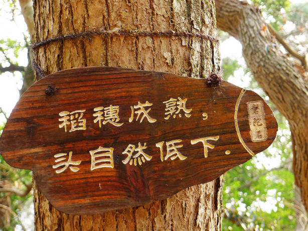 P1030195.JPG