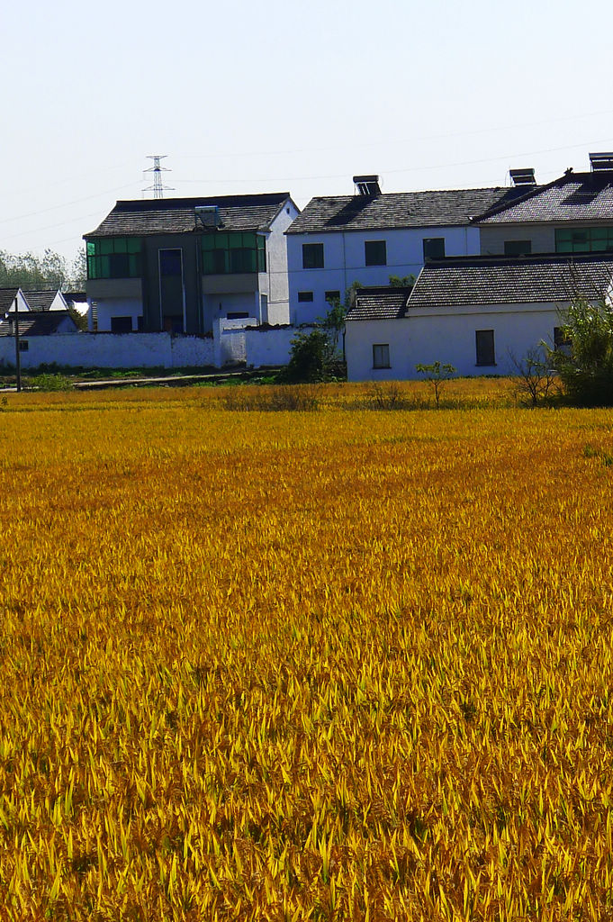 P1020855.JPG