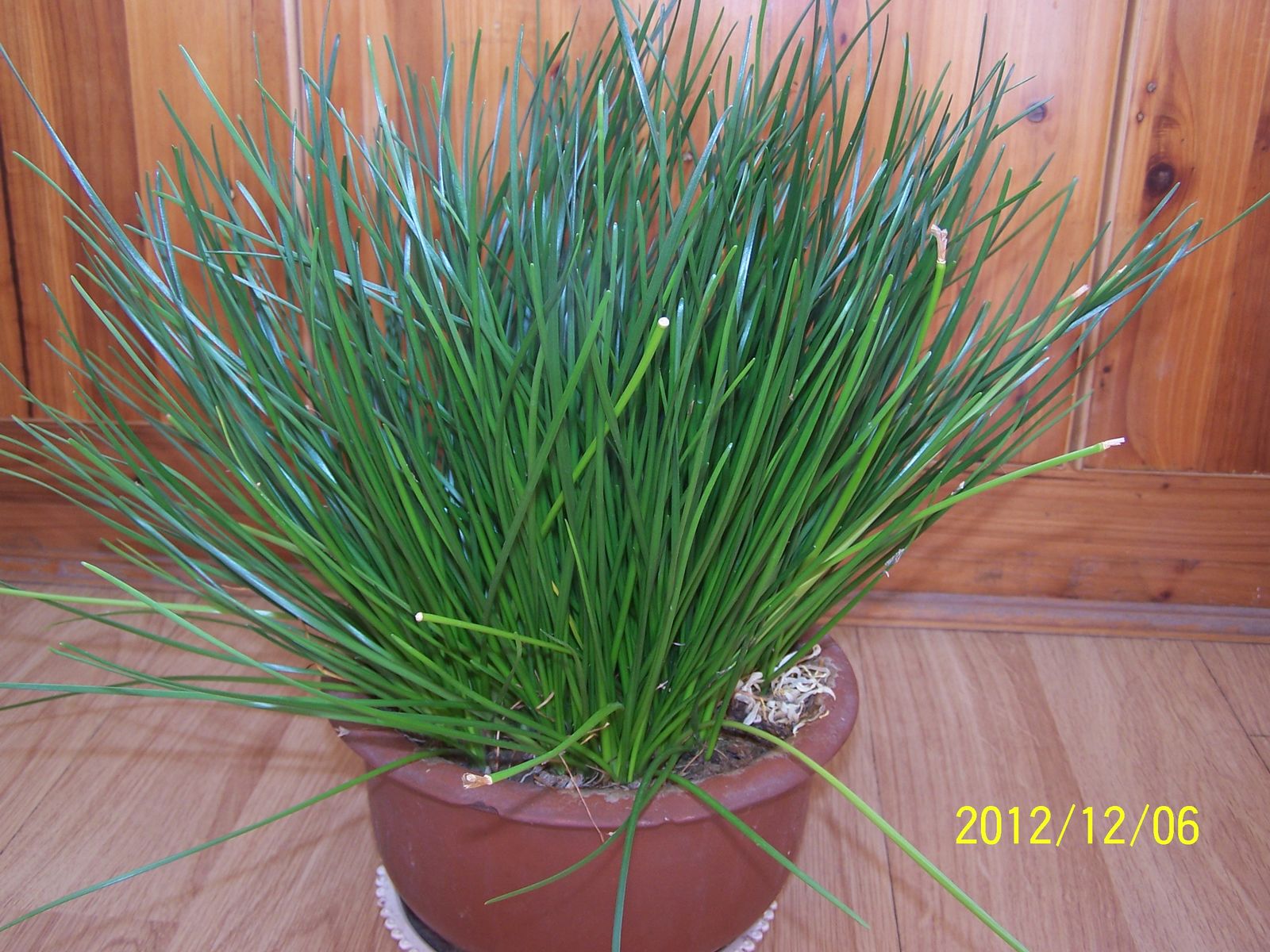 100_8502.jpg