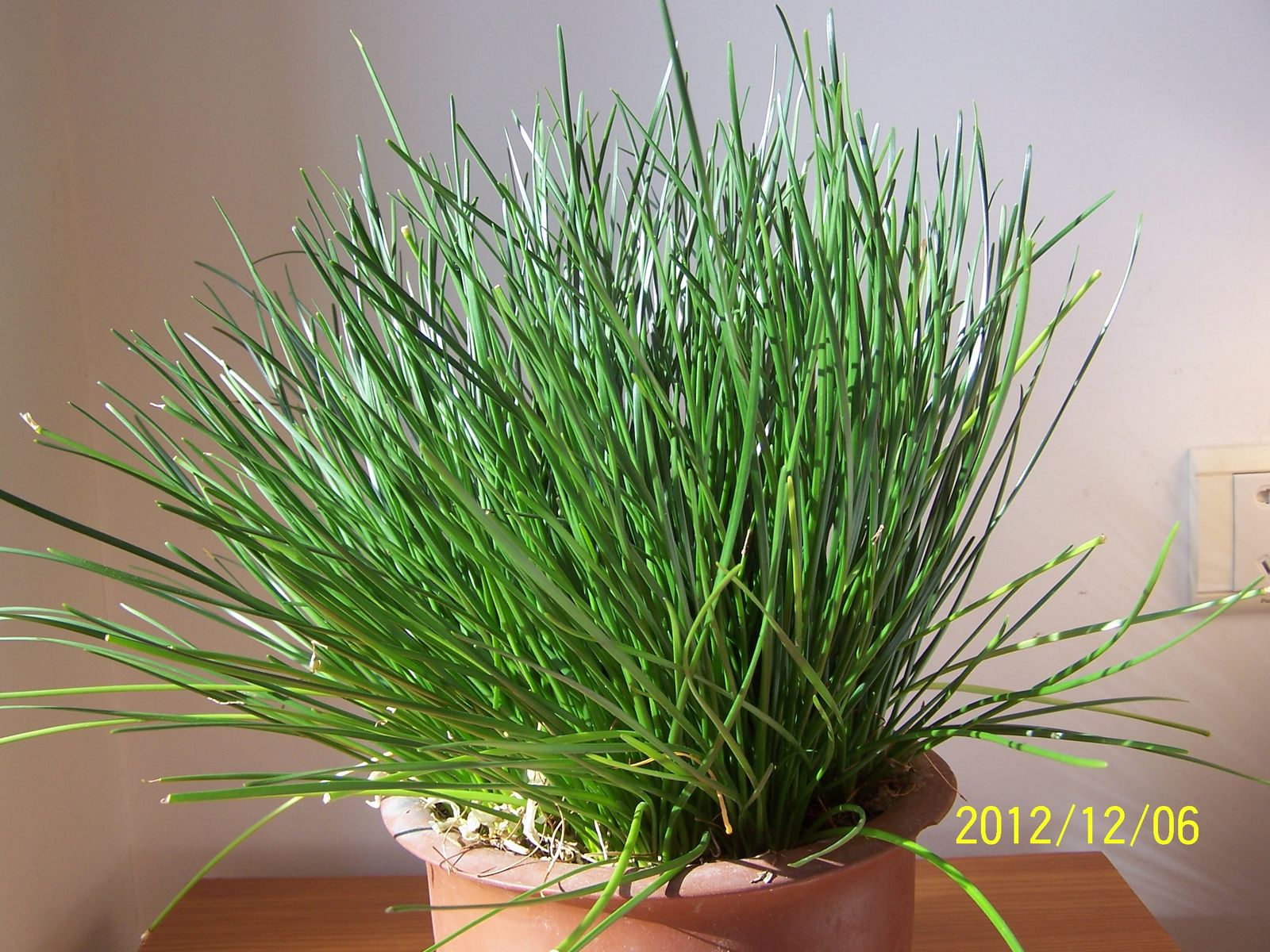 100_8503.jpg