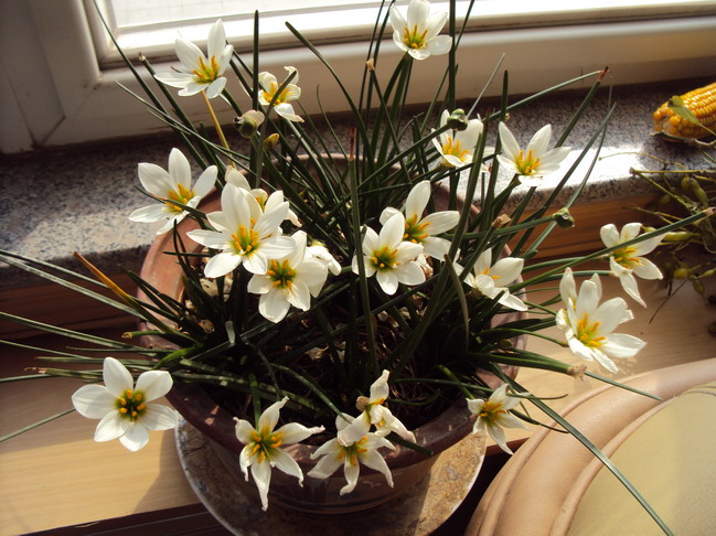 DSC05011_调整大小.JPG