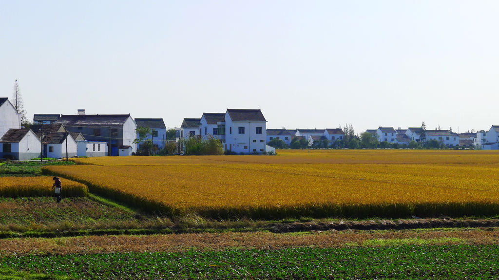 P1020860.JPG