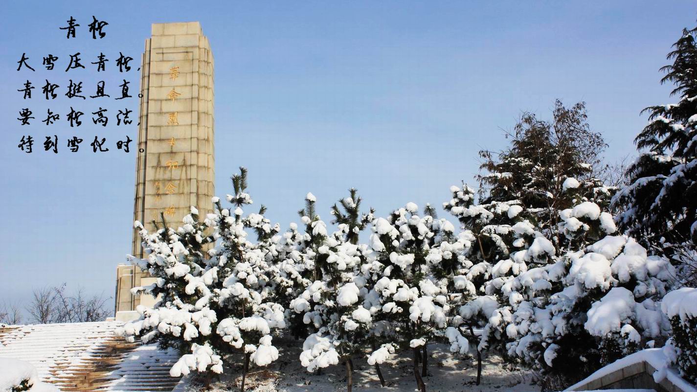 2012雪的盛宴067.JPG
