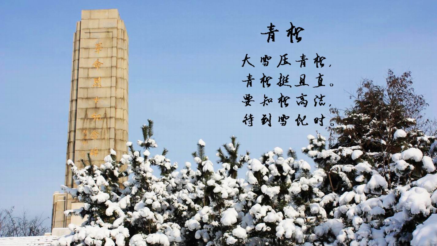 2012雪的盛宴068.JPG