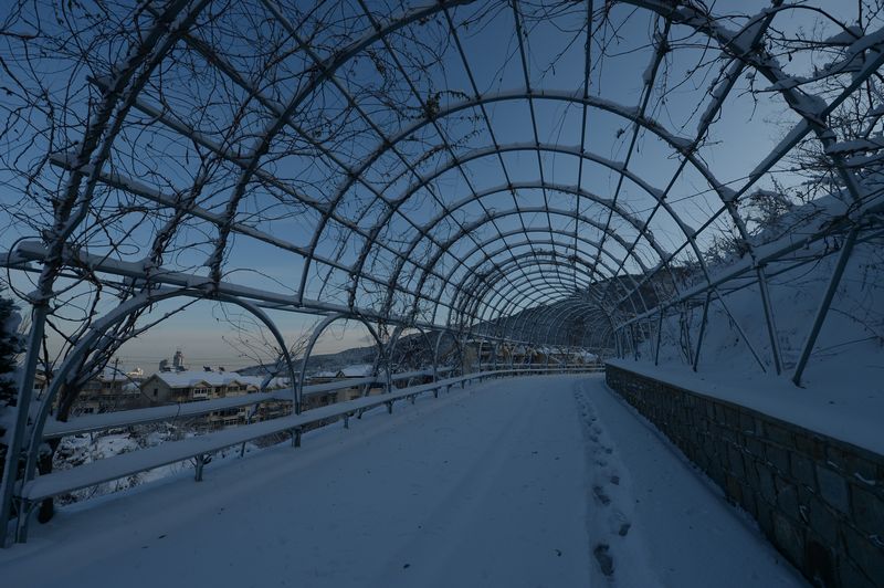 DSC_8889.jpg