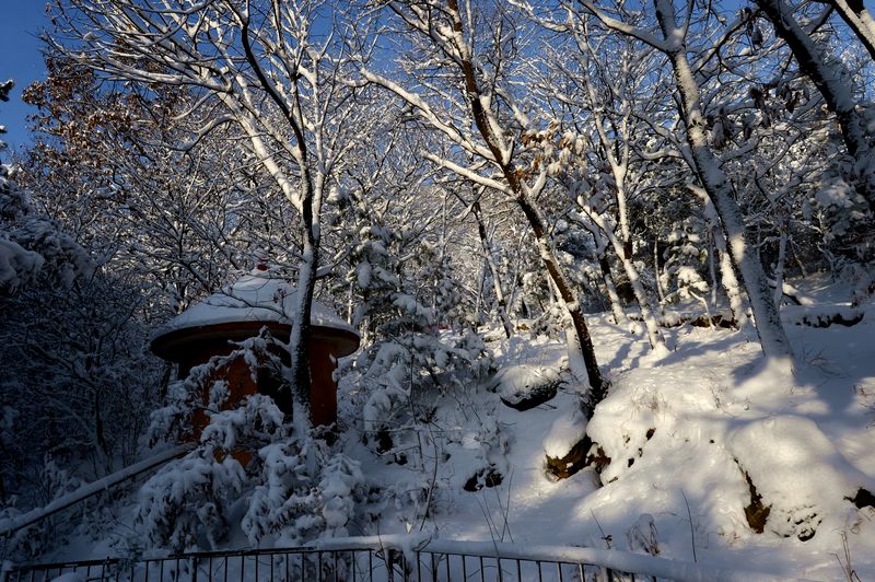 DSC_8915.JPG