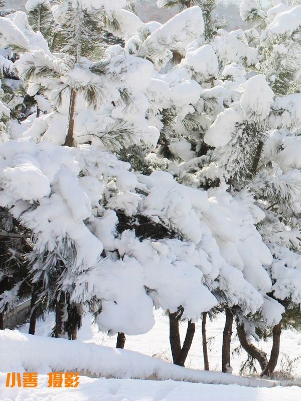 2012雪的盛宴074.JPG