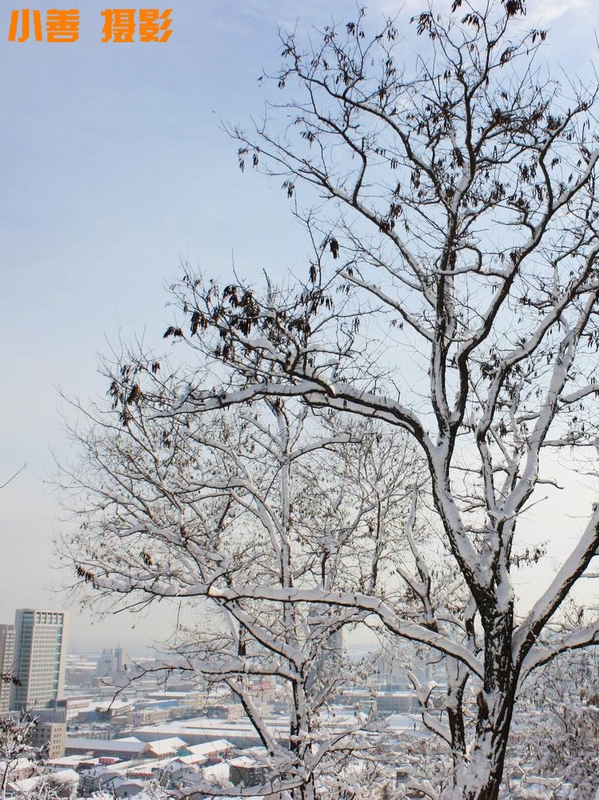 2012雪的盛宴073.JPG