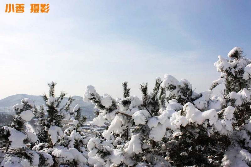 2012雪的盛宴075.JPG