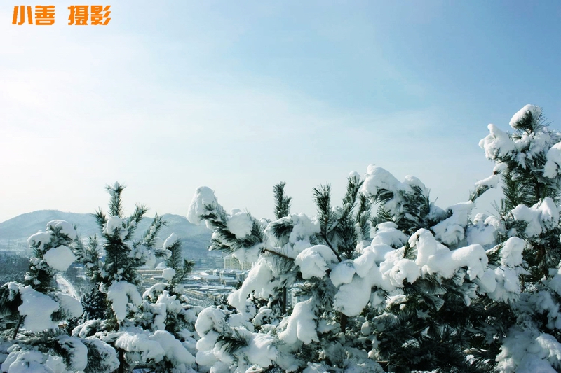 2012雪的盛宴076.JPG
