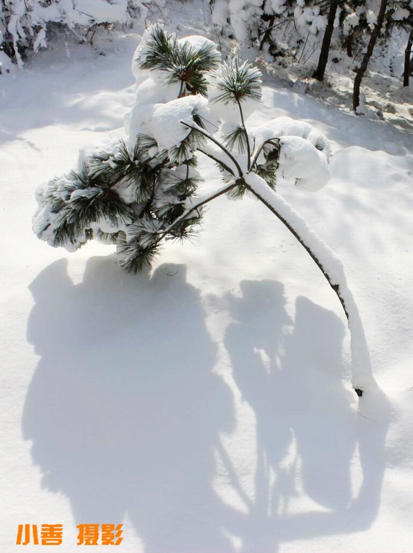 2012雪的盛宴077.JPG
