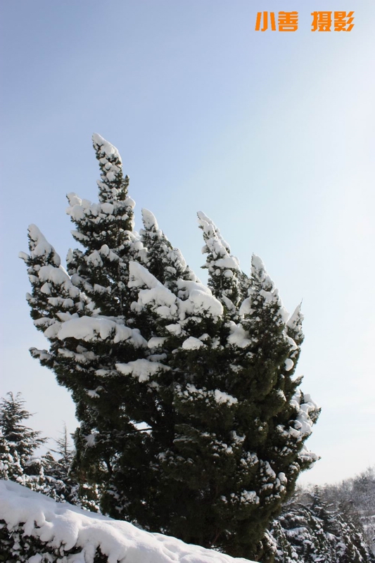 2012雪的盛宴081.JPG