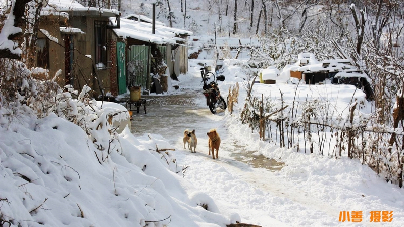 2012雪的盛宴083.JPG