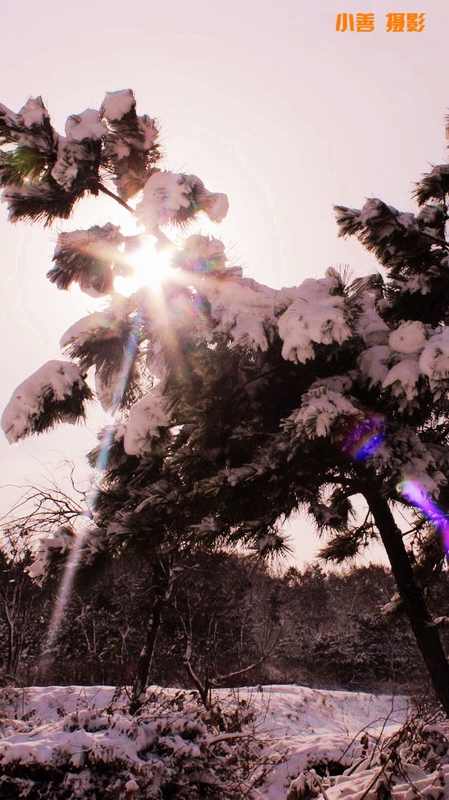 2012雪的盛宴087.JPG