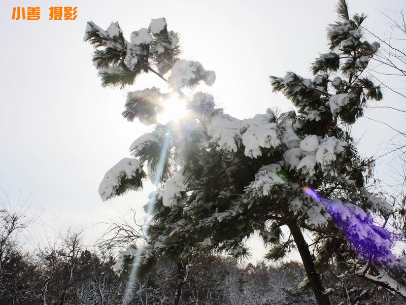 2012雪的盛宴086.JPG