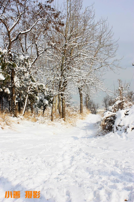 2012雪的盛宴085.JPG