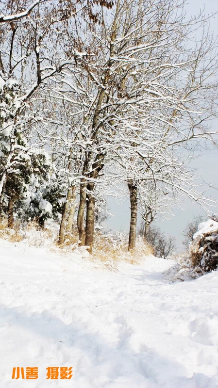 2012雪的盛宴084.JPG