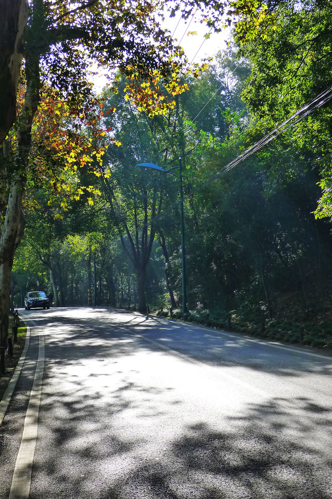 P1020937.JPG