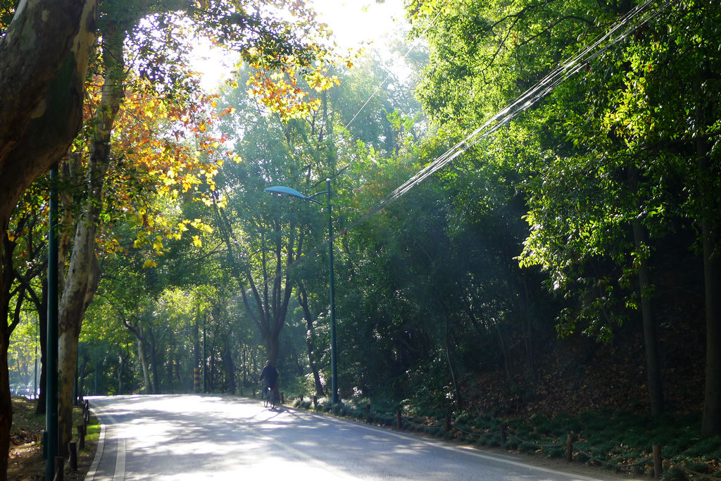 P1020936.JPG