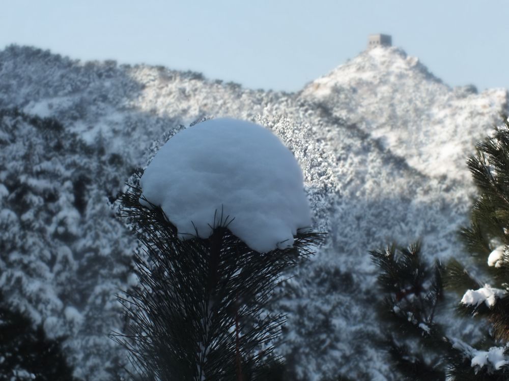 DSCF8956.JPG