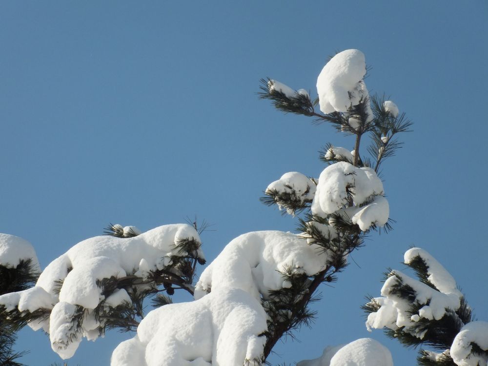 DSCF8973.JPG