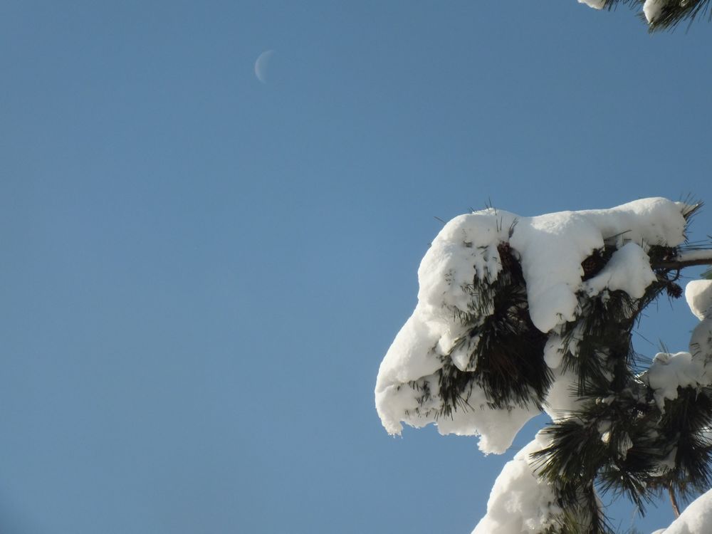 DSCF8967.JPG
