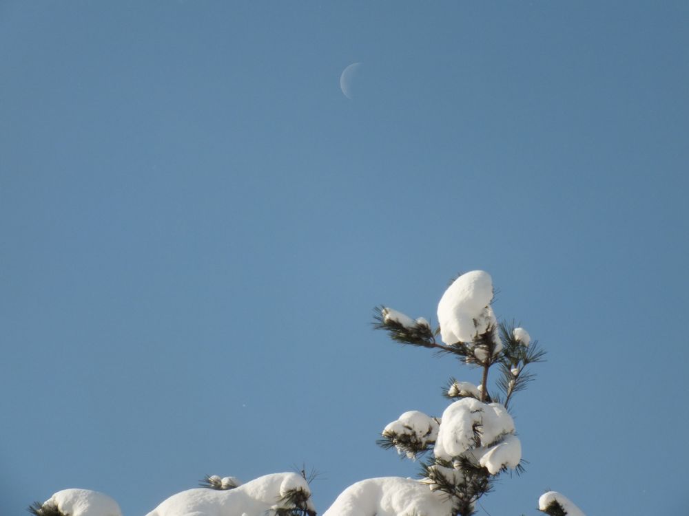 DSCF8974.JPG
