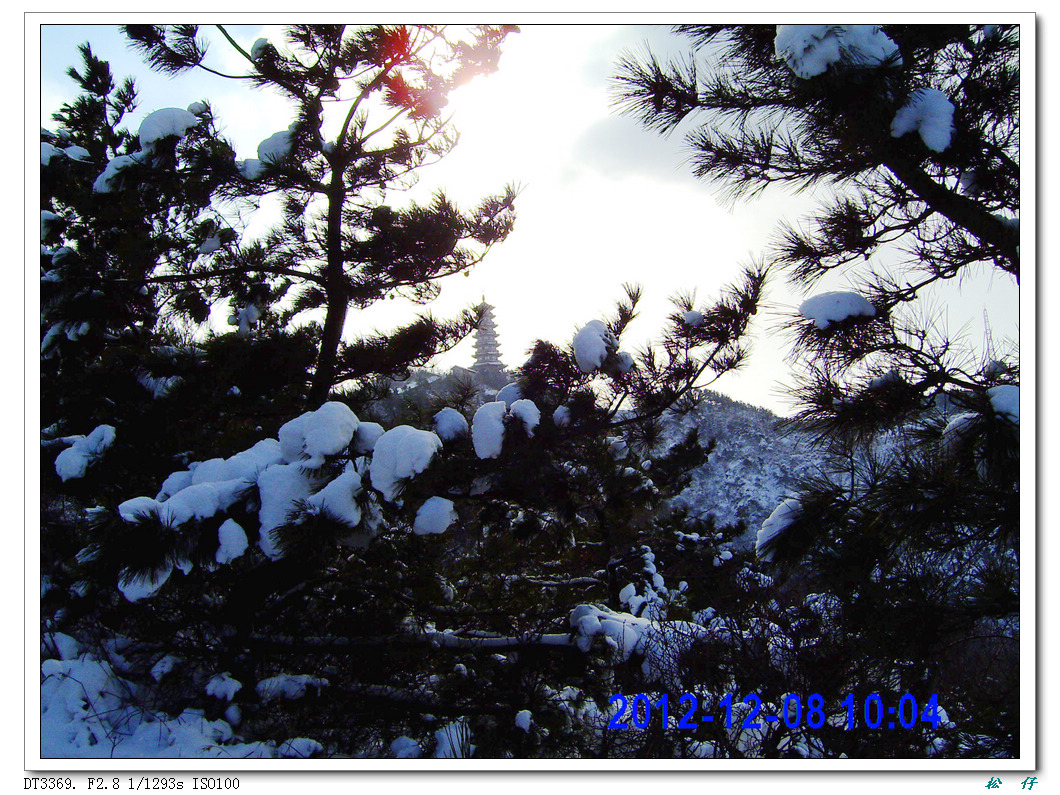 PICT2790.jpg