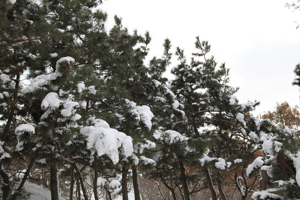 踏雪会师大南山 097.jpg
