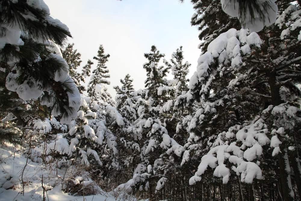 踏雪会师大南山 124.jpg