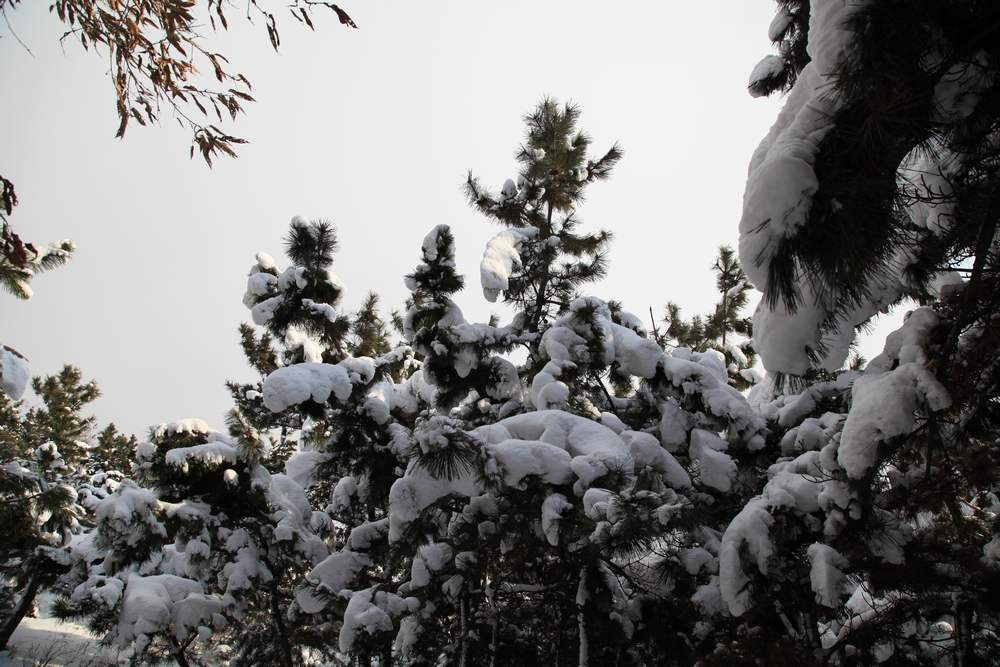 踏雪会师大南山 131.jpg