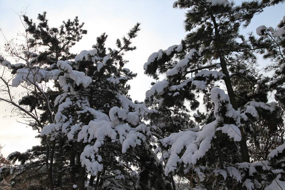 踏雪会师大南山 187.jpg