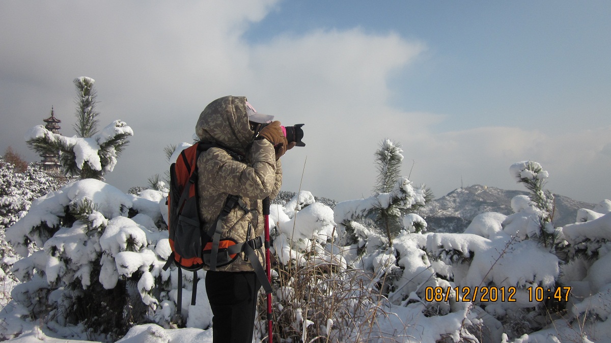 静雪拍雪