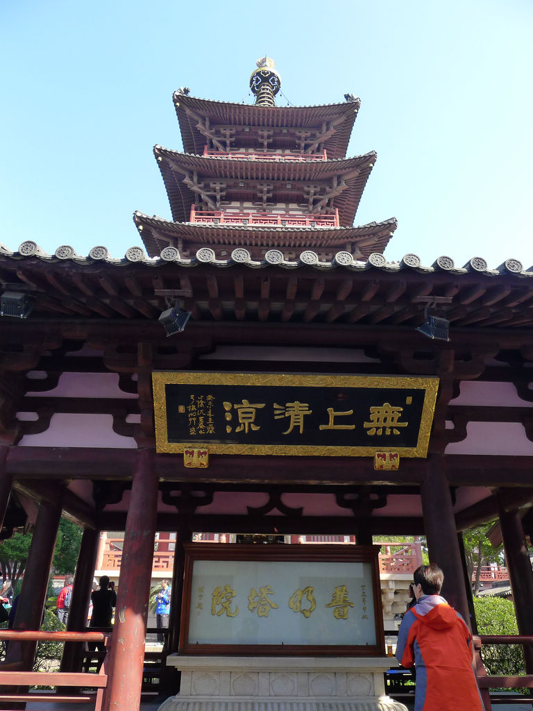 P1020984.JPG