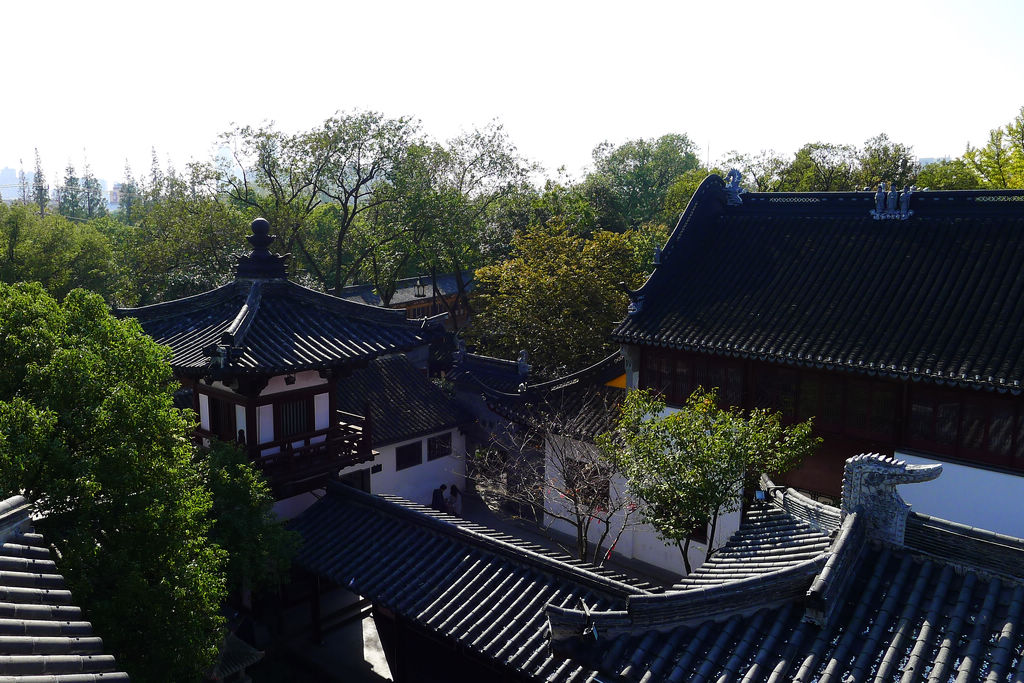 P1020987.JPG