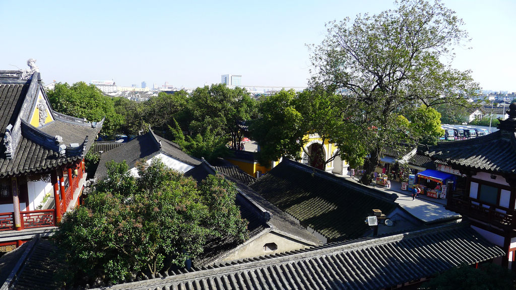 P1020990.JPG