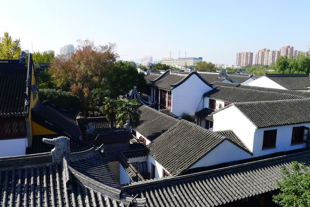 P1020986.JPG