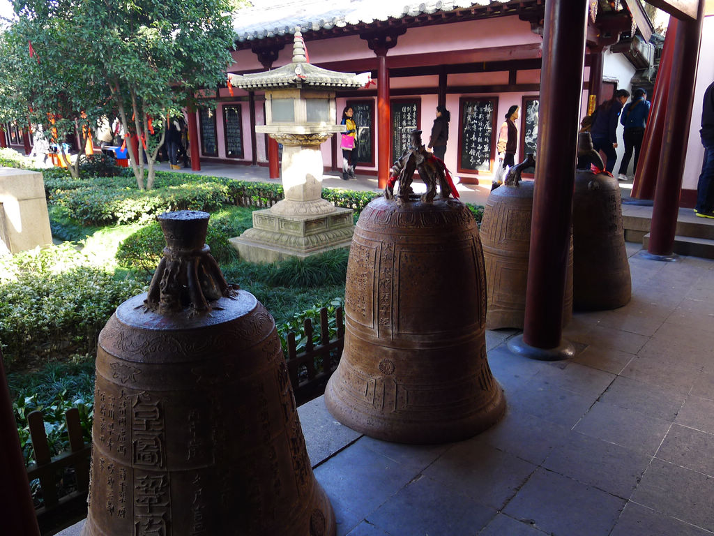 P1030025.JPG
