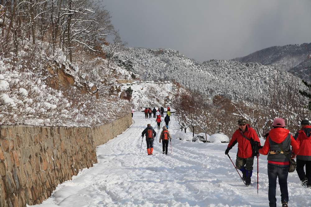 踏雪会师大南山 308.jpg