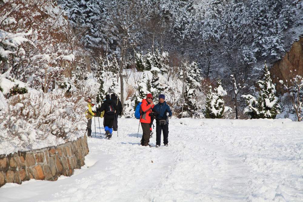 踏雪会师大南山 369.jpg