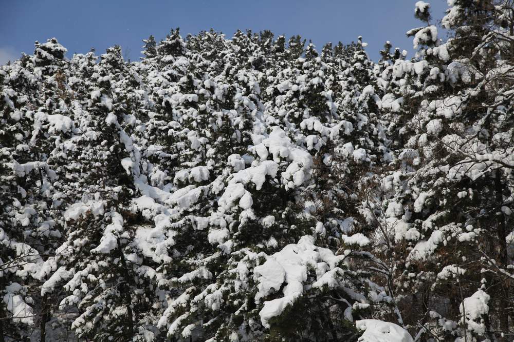 踏雪会师大南山 378.jpg