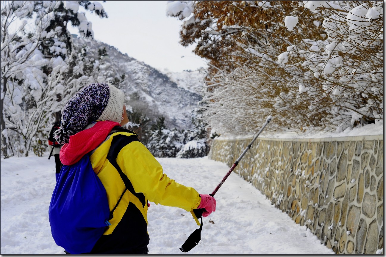 踏雪南山 (114).jpg