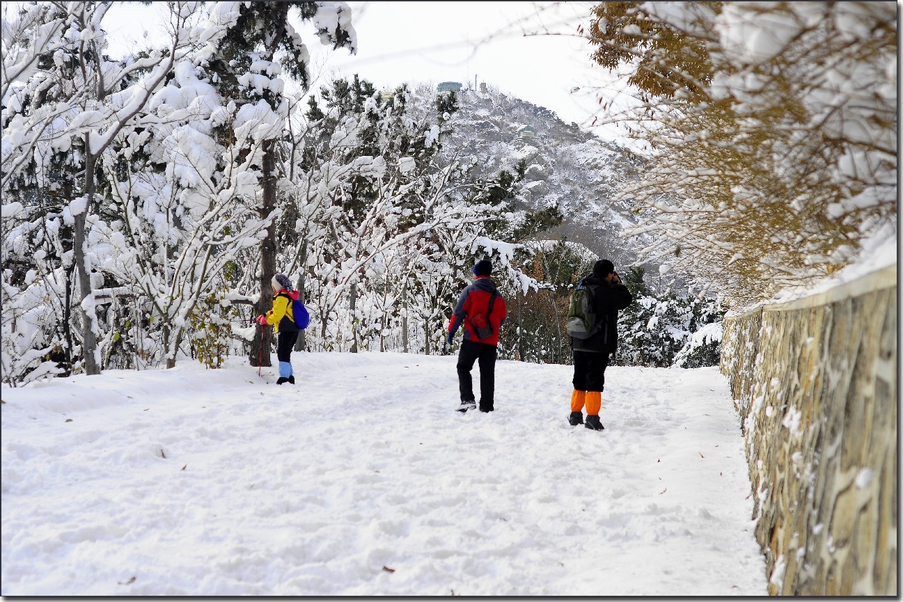 踏雪南山 (108).jpg