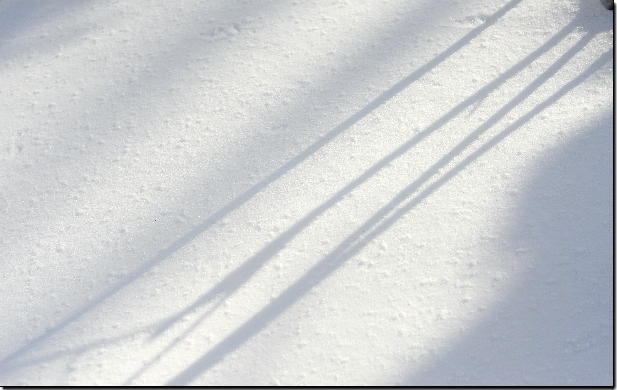 踏雪南山 (199).jpg